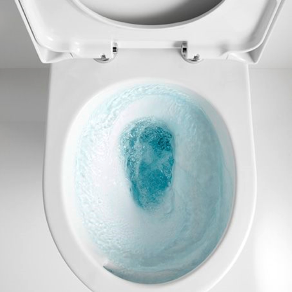 Rimless Flush Toilet Bowl System